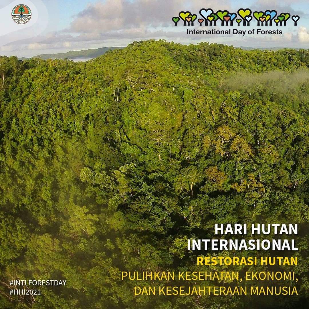 Penghentian Pemberian Izin Hutan Alam Primer dan Lahan Gambut Capai 66,18 Juta Hektar