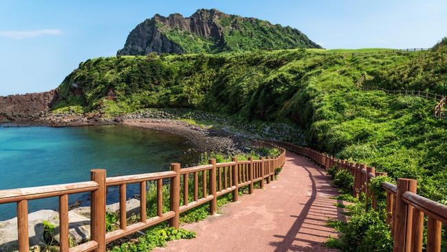 Turis China Curi Guci Kremasi di Pulau Jeju, Minta Tebusan Rp33 Miliar