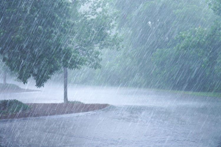 Berpotensi Angin Kencang dan Banjir, BPBD Pekanbaru Minta Masyarakat Waspada