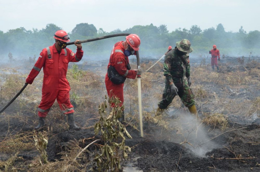 Musim Panas, Warga Pekanbaru Dihimbau Tidak Bakar Lahan