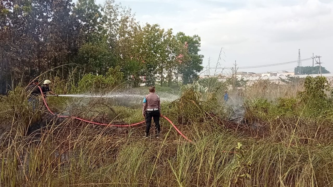 BPBD Pekanbaru Padamkan Kebakaran Lahan di Depan Mall SKA