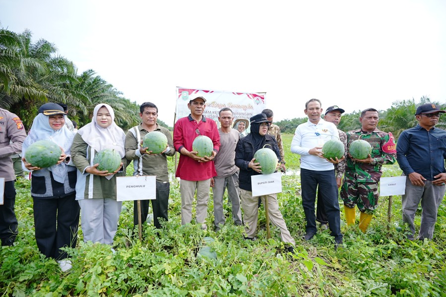 Bupati Siak Afni Apresiasi Pemanfaatan Dana Desa untuk Ketahanan Pangan