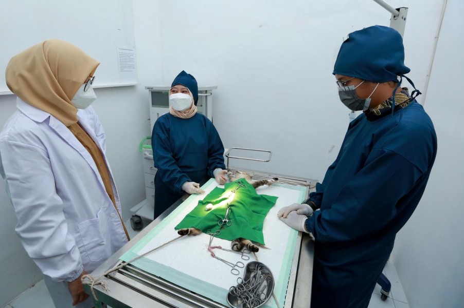 Pemprov Riau Segera Bangun Rumah Sakit Hewan