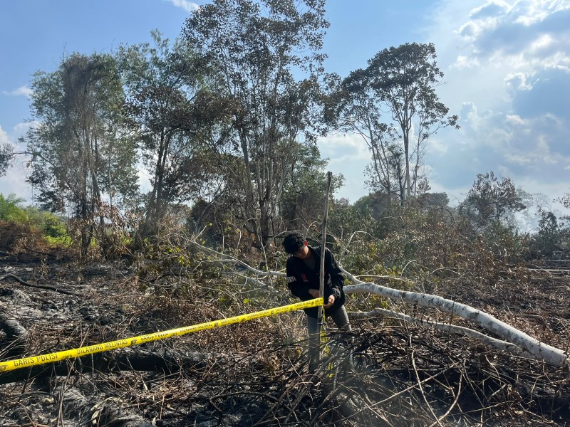 Buka Kebun Sawit dengan Cara Dibakar, Pria di Pelalawan Ditangkap Polisi