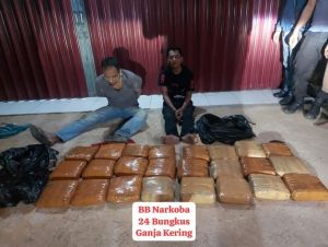 Penyelundupan 23 Kg Paket Ganja di Rohul Berhasil Digagalkan  Polisi