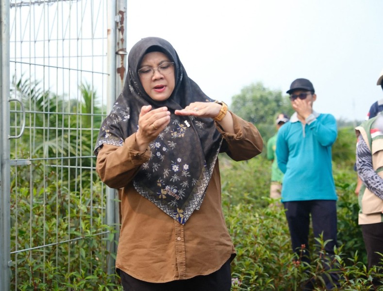 Bupati Siak Jawab Tiga Pertanyaan Presiden Soal Solusi Karhutla