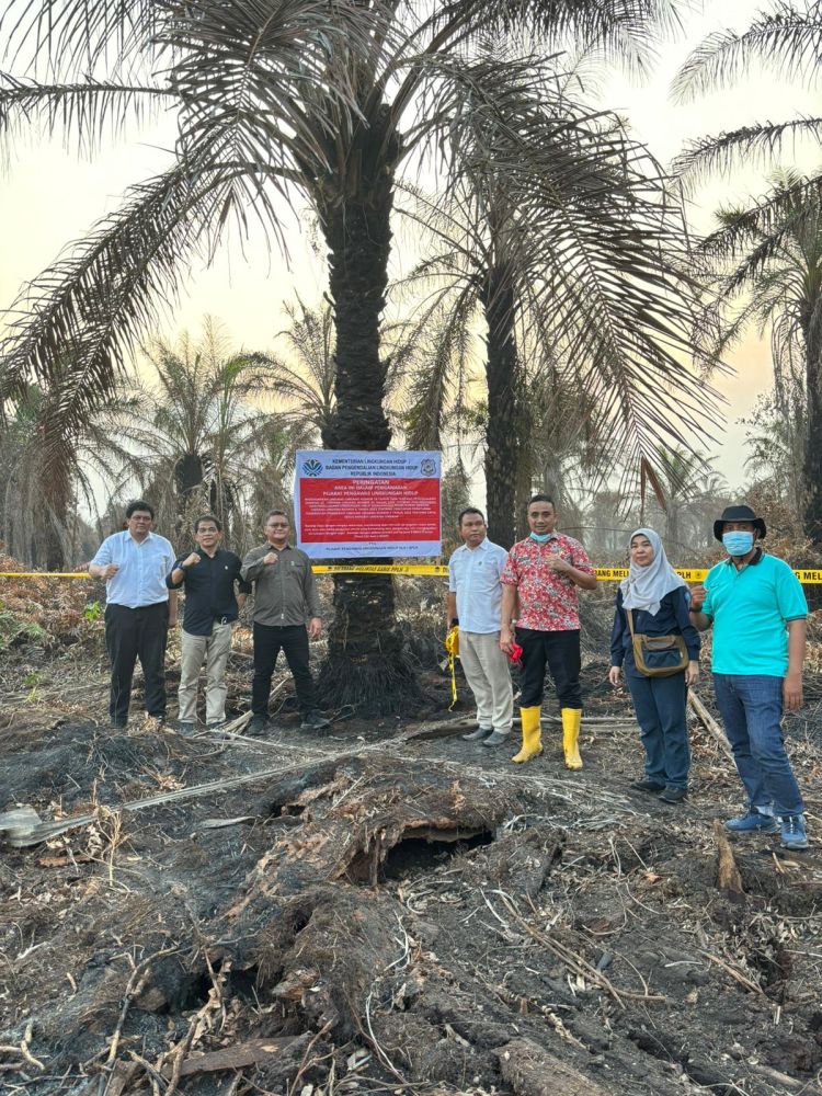 KLH Segel 4 Perusahaan dan Tutup Satu Pabrik Sawit Terkait Karhutla Riau